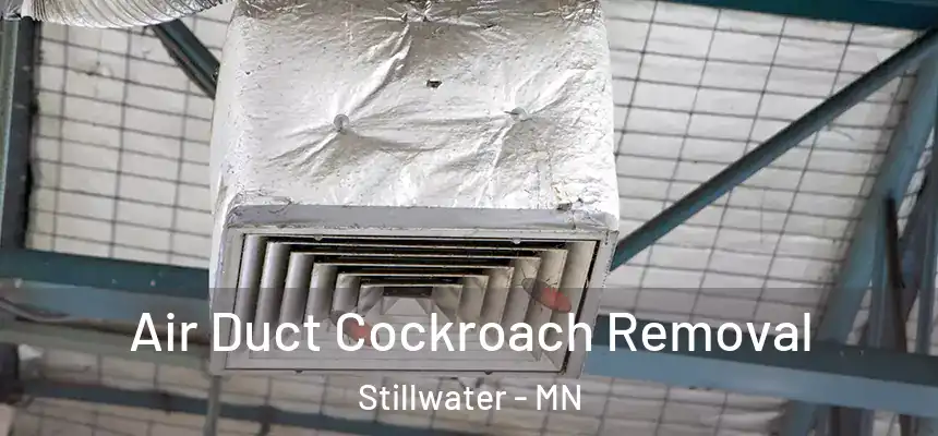 Air Duct Cockroach Removal Stillwater - MN