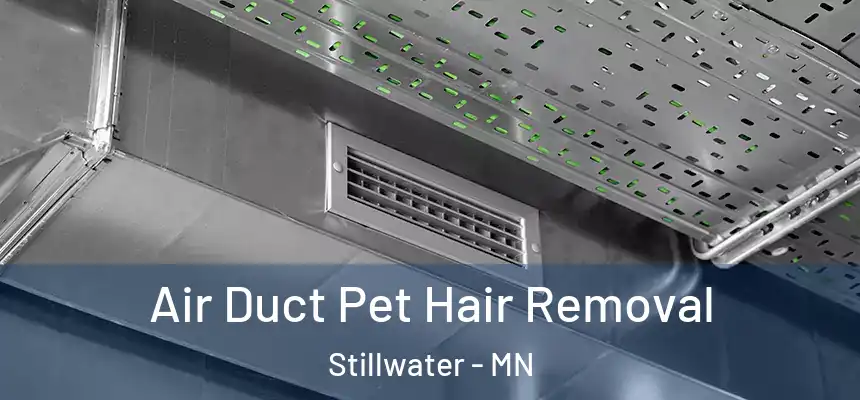 Air Duct Pet Hair Removal Stillwater - MN