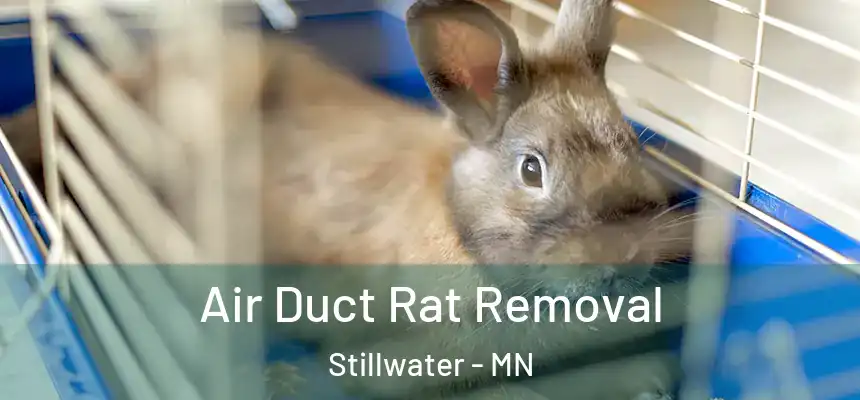 Air Duct Rat Removal Stillwater - MN