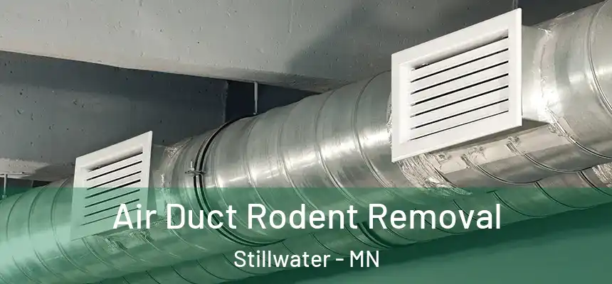 Air Duct Rodent Removal Stillwater - MN