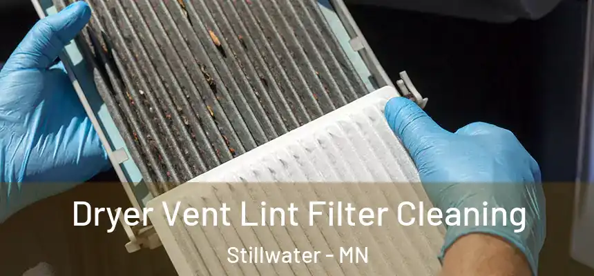  Dryer Vent Lint Filter Cleaning Stillwater - MN