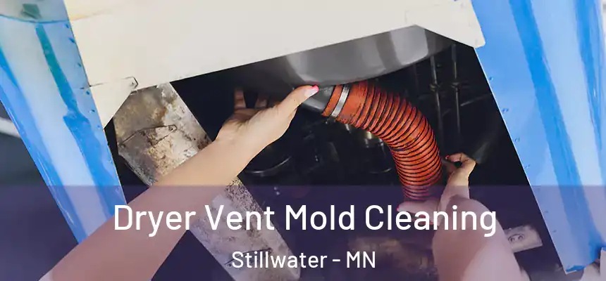  Dryer Vent Mold Cleaning Stillwater - MN