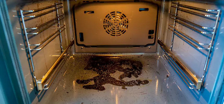 Our Dryer Vent Mold Cleaning Services in Stillwater, MN