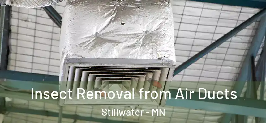 Insect Removal from Air Ducts Stillwater - MN