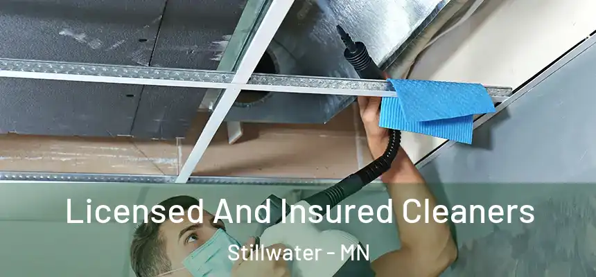  Licensed And Insured Cleaners Stillwater - MN