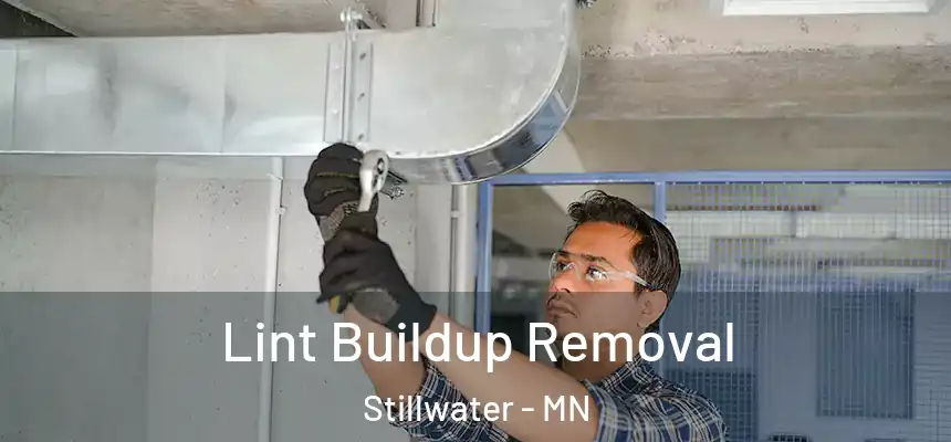 Lint Buildup Removal Stillwater - MN