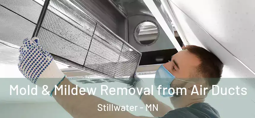 Mold & Mildew Removal from Air Ducts Stillwater - MN