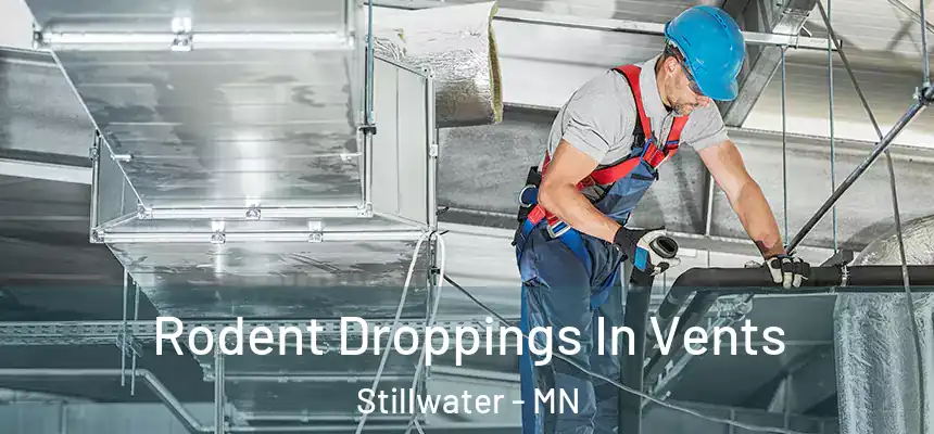  Rodent Droppings In Vents Stillwater - MN