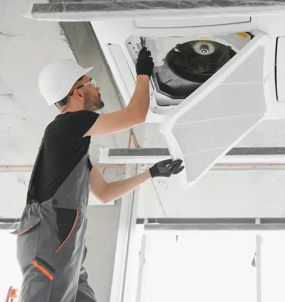 About Air Duct Rodent Removal in Stillwater, MN