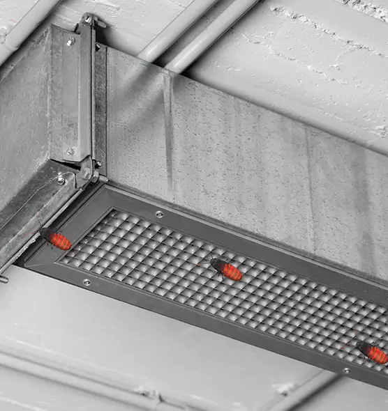 Affordable Insect Removal from Air Ducts in Stillwater, MN