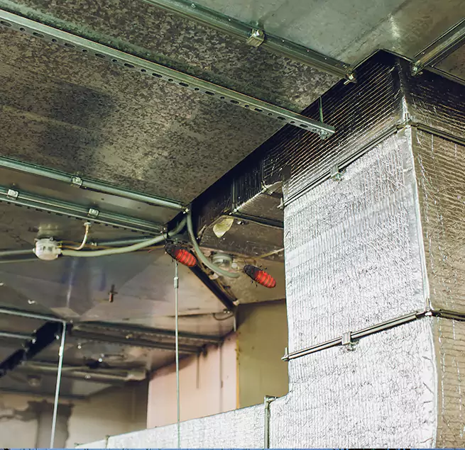 Why Homeowners & Businesses Trust Us in Stillwater, MN?