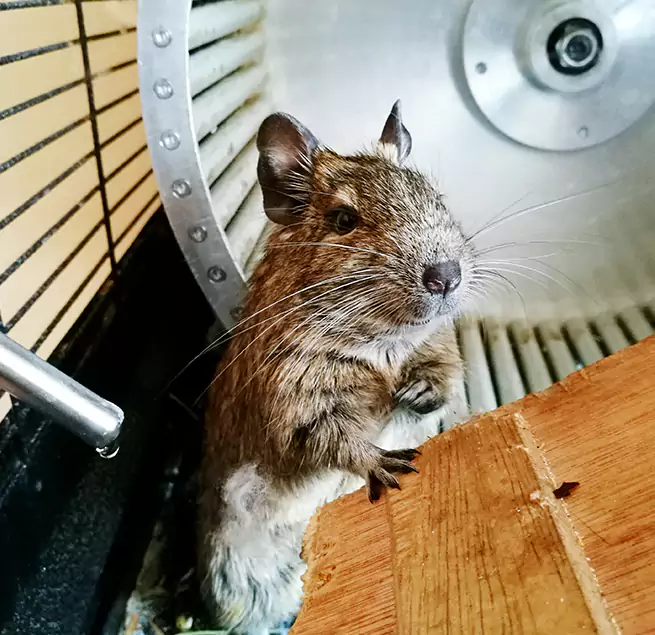 Why Homeowners & Businesses Trust Us Stillwater, MN